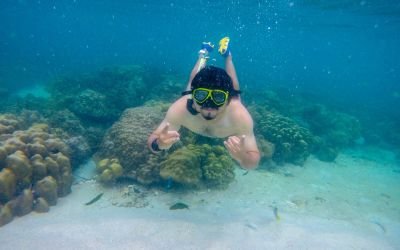Snorkeling